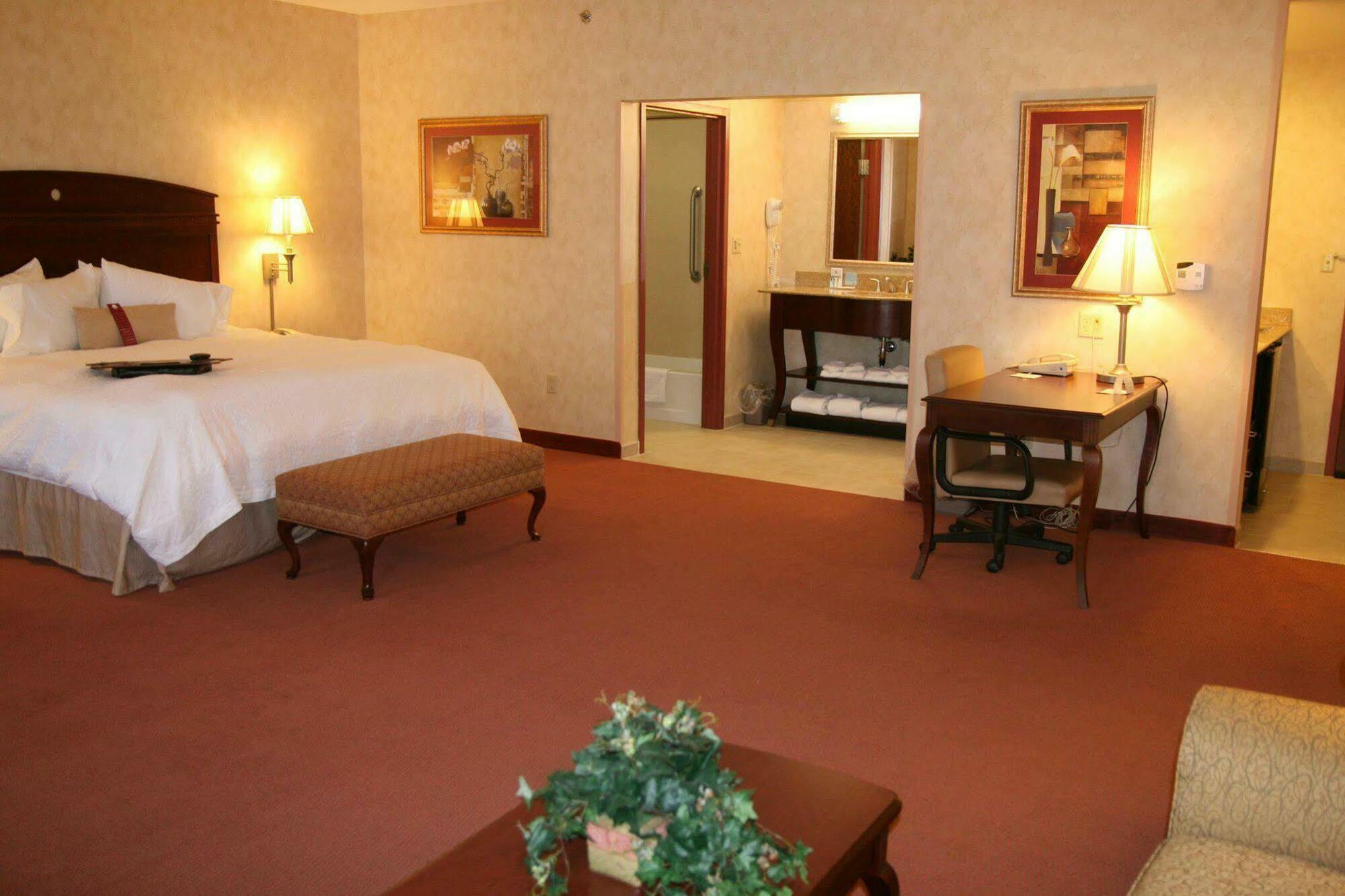 Hampton Inn Owego Pokoj fotografie