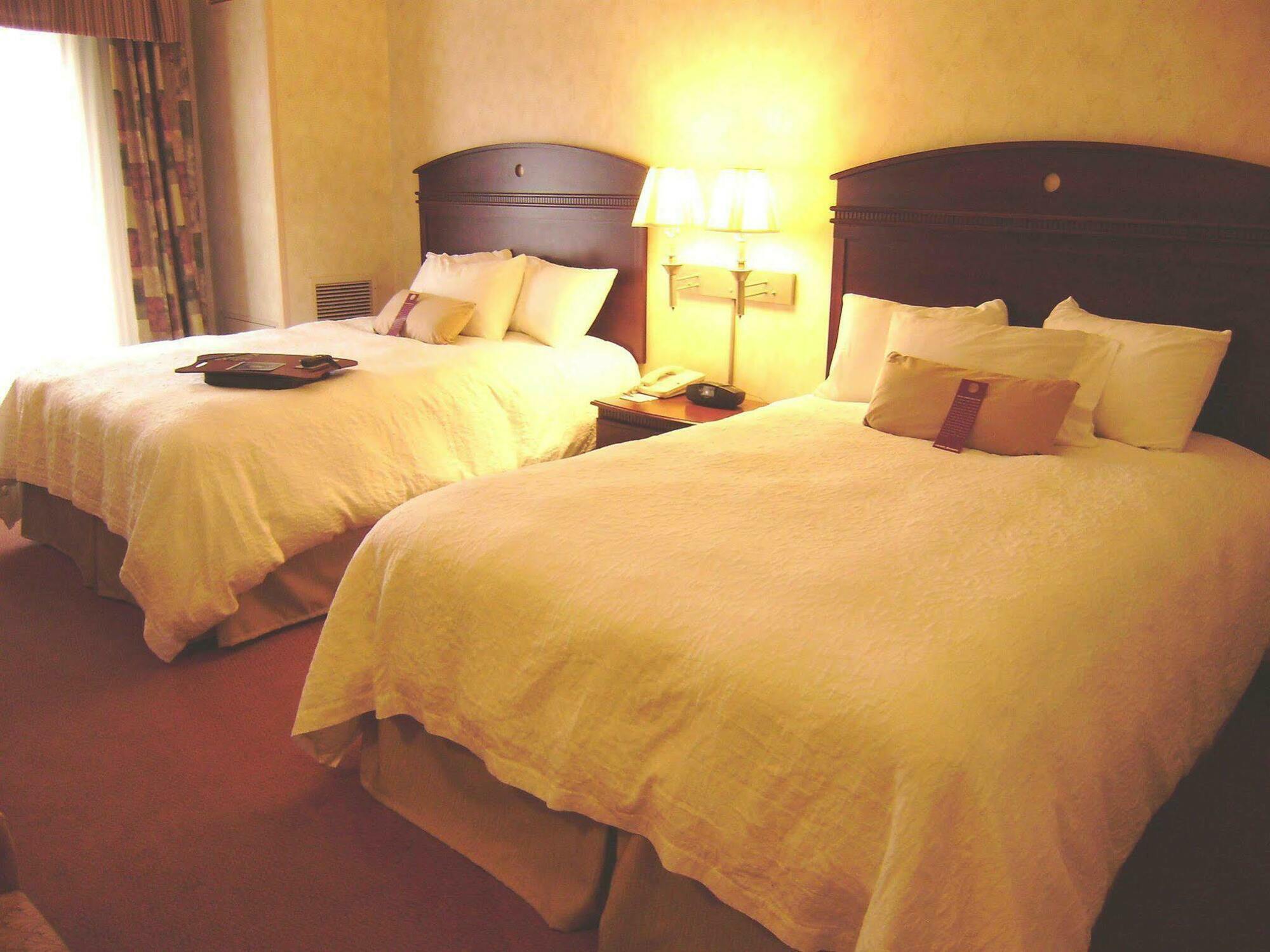Hampton Inn Owego Pokoj fotografie